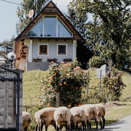 Ferienhaus Am Herbsthof 루트스카치 외부 사진