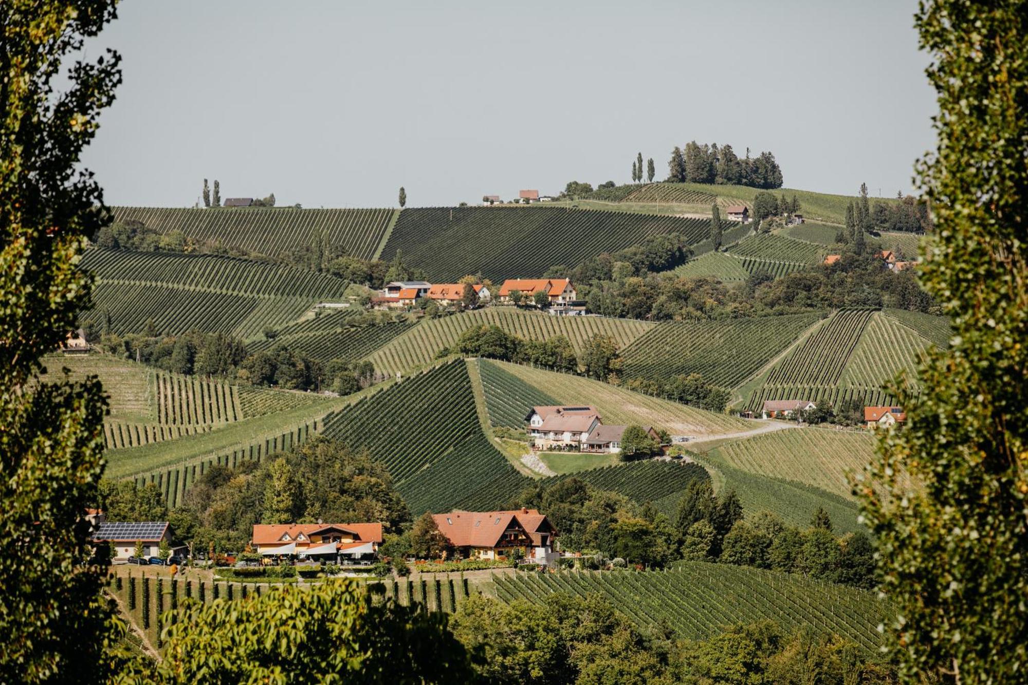 Ferienhaus Am Herbsthof 루트스카치 외부 사진