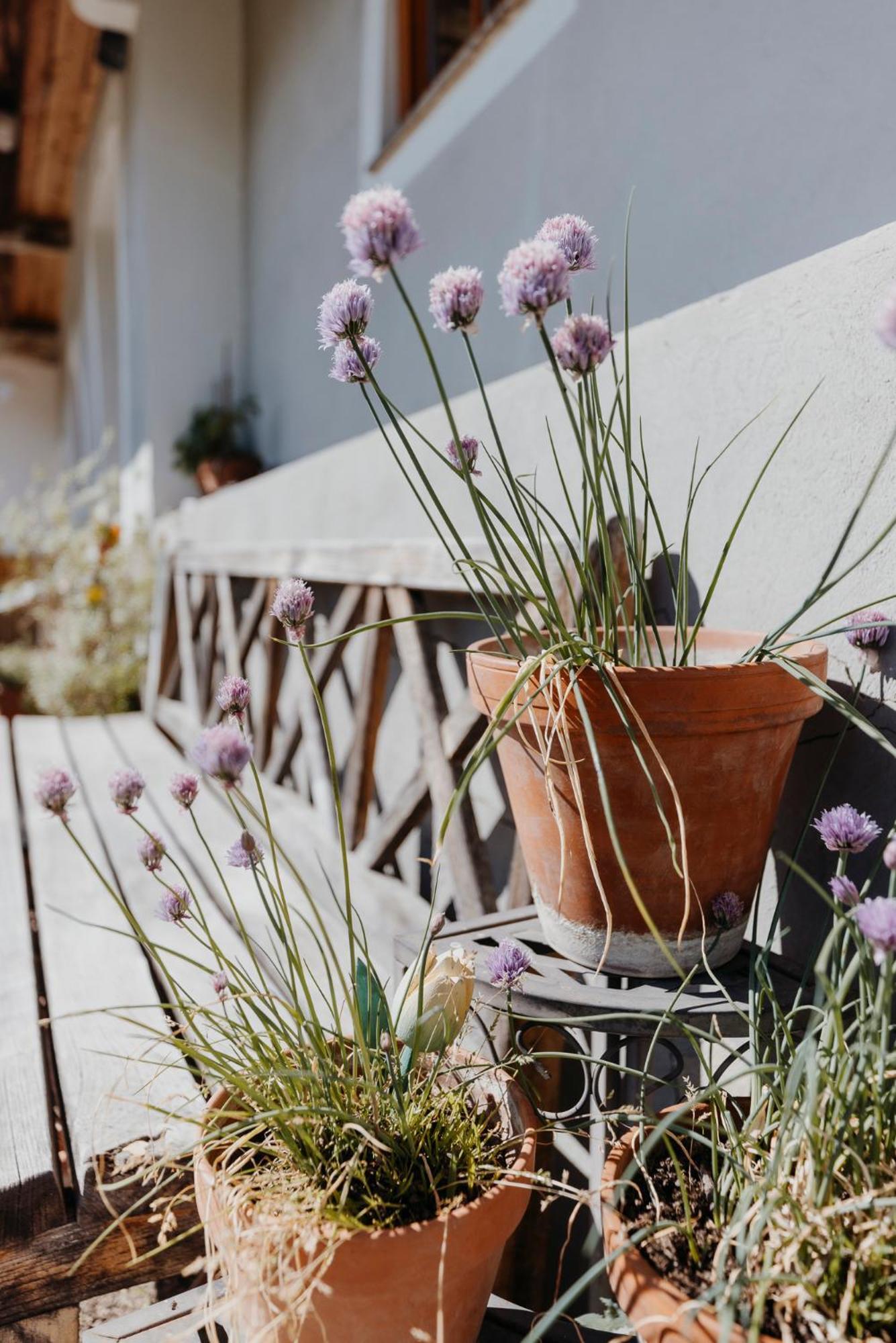 Ferienhaus Am Herbsthof 루트스카치 외부 사진