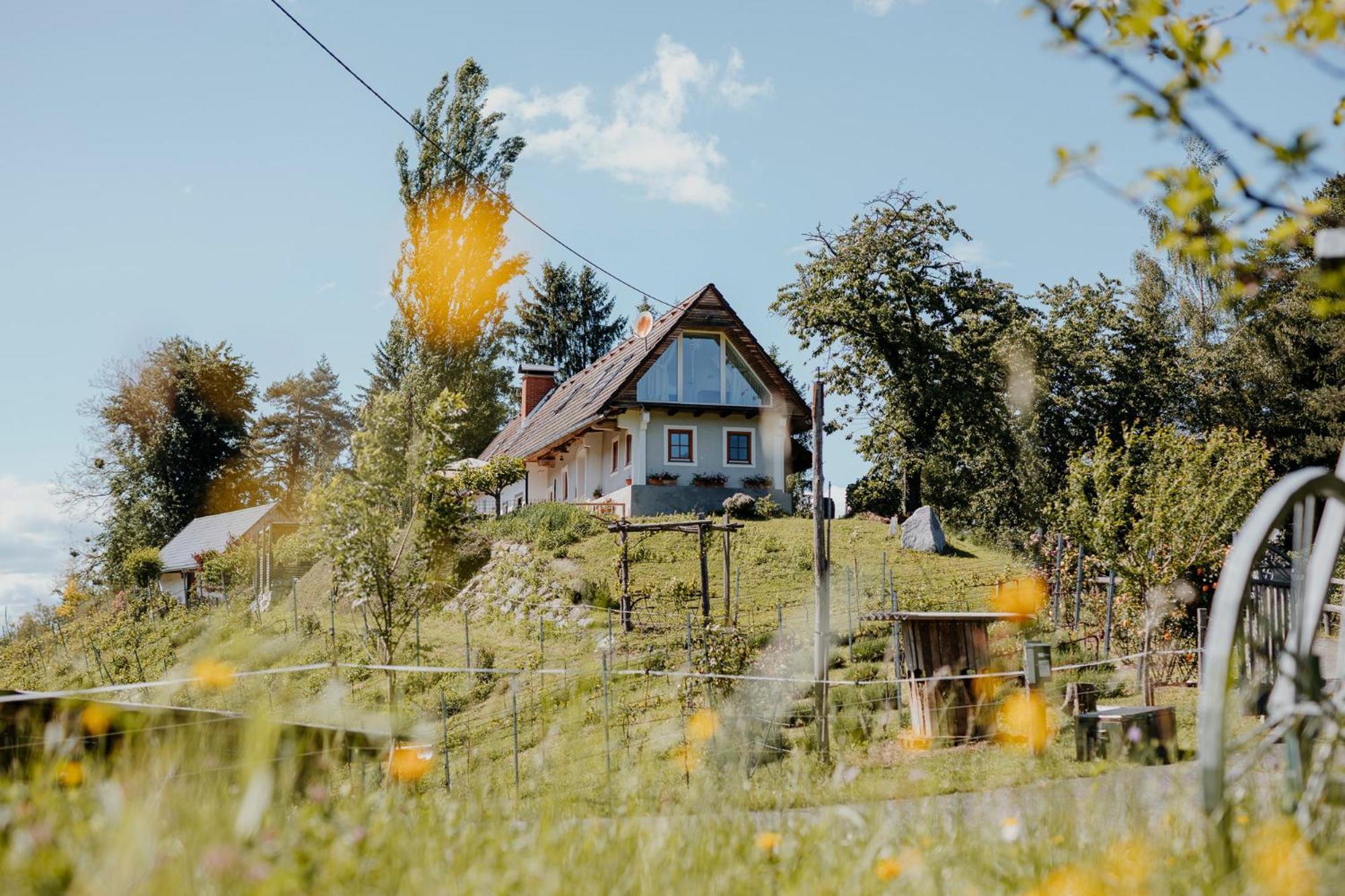 Ferienhaus Am Herbsthof 루트스카치 외부 사진