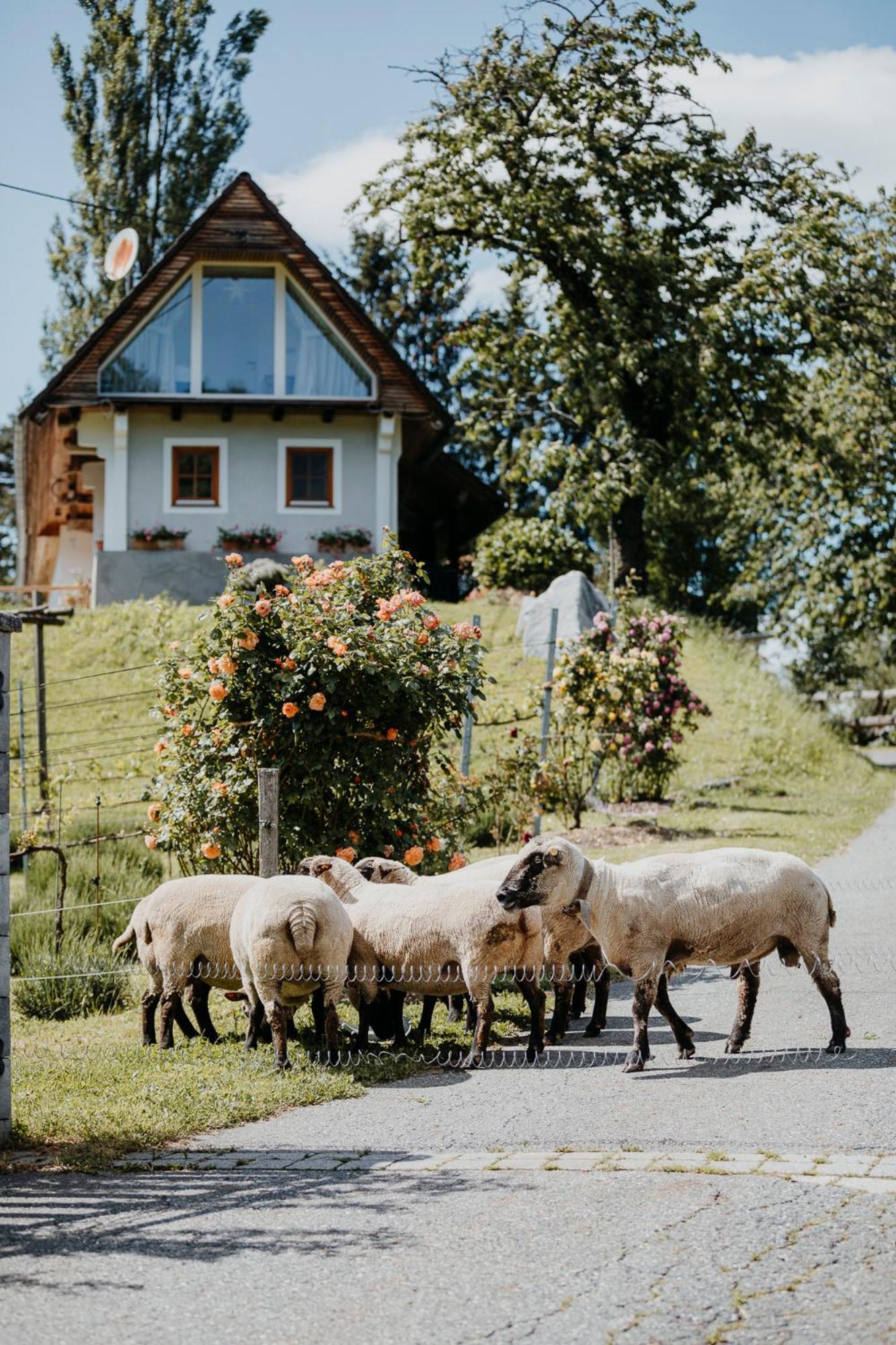 Ferienhaus Am Herbsthof 루트스카치 외부 사진