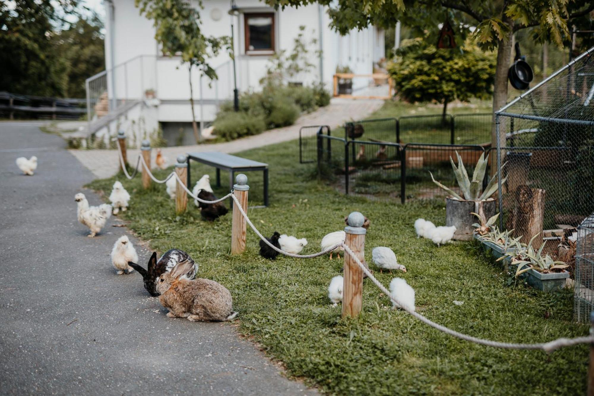 Ferienhaus Am Herbsthof 루트스카치 외부 사진