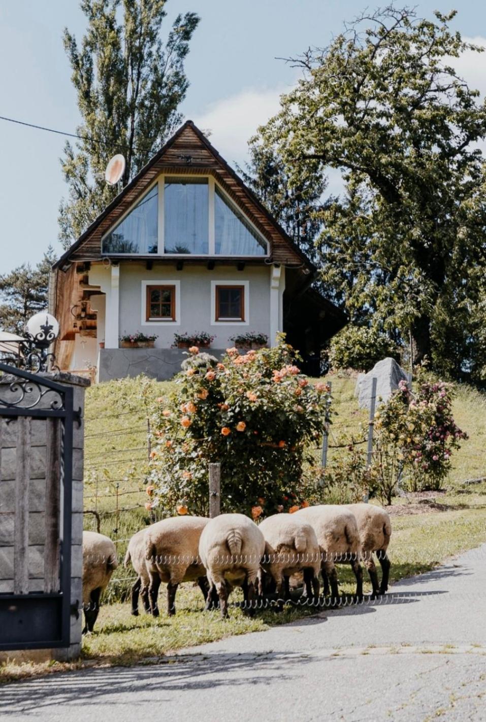 Ferienhaus Am Herbsthof 루트스카치 외부 사진